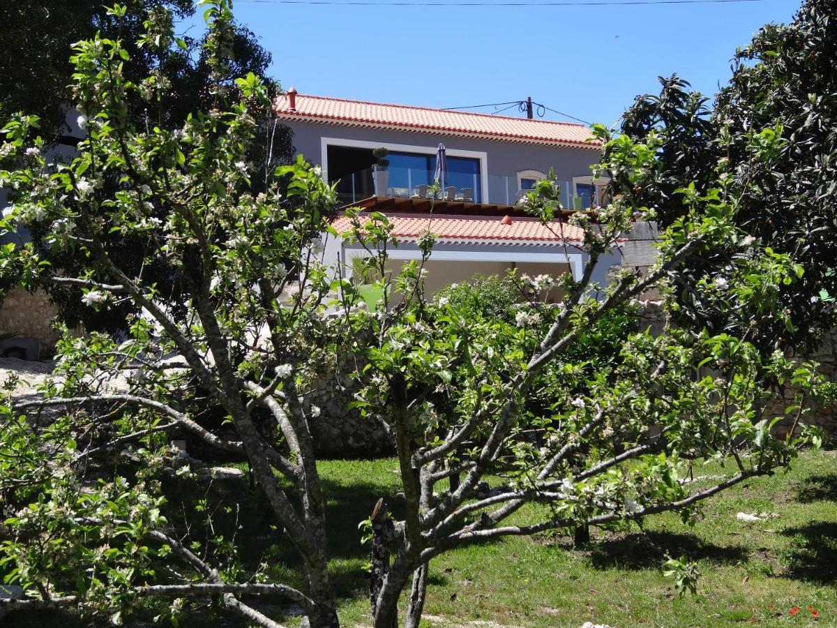 Casa Da Riguerinha Bed & Breakfast Monsanto Luaran gambar